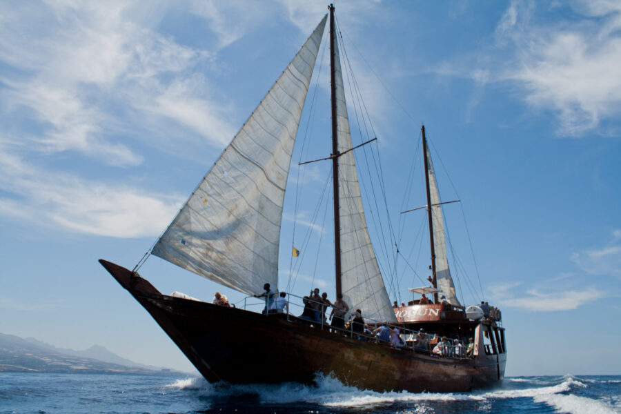 Shogun Velero 5h + Transporte + Comida